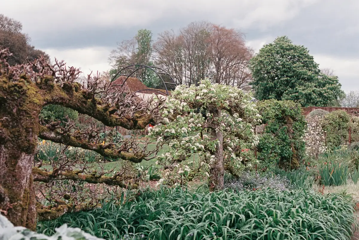 A1 Property Services landscaping in Dike