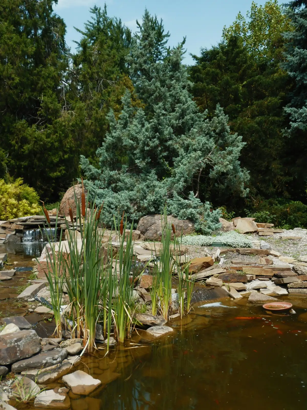 Water Features in Cedar Falls, Iowa